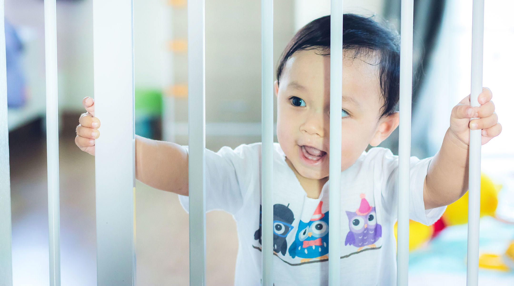 Safety First: Why Baby Doors Are Important